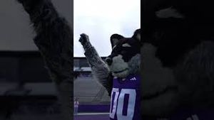 Video post by @uw_athletics on YouTube