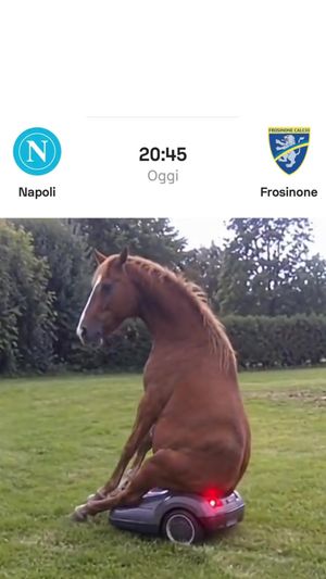 Video post by @sscnapoli on TikTok