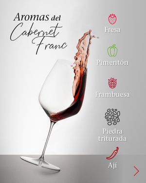 Image post by @riedelpartner_vnzla on Instagram