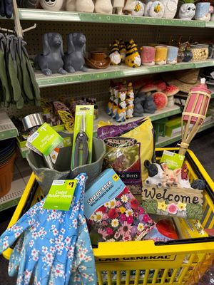 Image post by @dollargeneral on Instagram