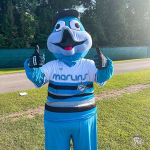 Image post by @mhcmarlins on Instagram
