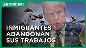 Video post by @laopinionla on YouTube