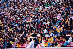 Image post by @ArkRazorbacks on Twitter