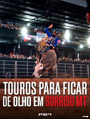 Image post by @pbrbrazil on Instagram