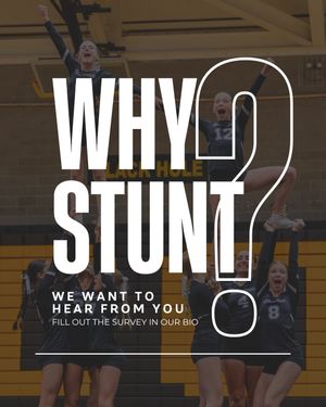 Image post by @stuntthesport on Instagram