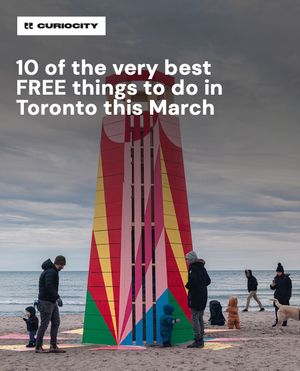 Image post by @curiocitytoronto on Instagram