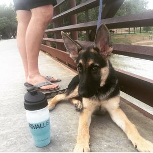 Image post by @slow_mama5 on Instagram