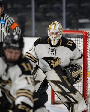 Image post by @luhockey_ncaa on Instagram