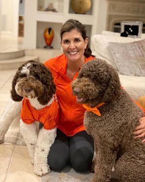 Image post by @nikkihaley on Instagram