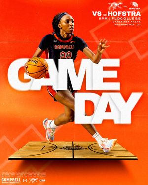 Image post by @gocamelswbb on Instagram