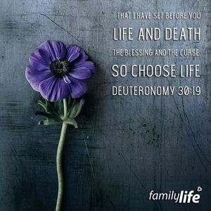 Image post by @familylifenypa on Instagram