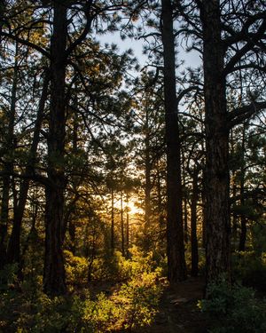 Image post by @michael_edson on Instagram