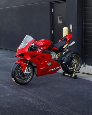 Image post by @panigalers on Instagram