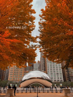 Image post by @exploreschicago on Instagram