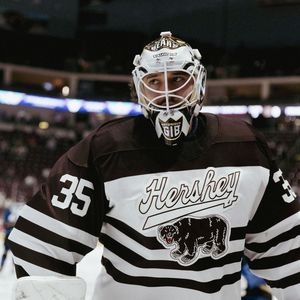 Image post by @thehersheybears on Instagram