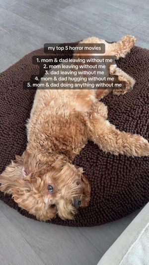 Video post by @tedflixnchill on TikTok