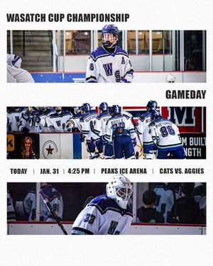 Image post by @wsumenshockey on Instagram