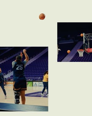 Image post by @calwbball on Instagram