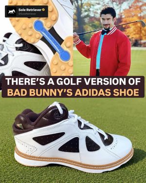Image post by @soleretriever on Instagram