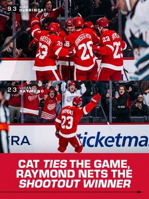 Image post by @detroitredwings on Instagram
