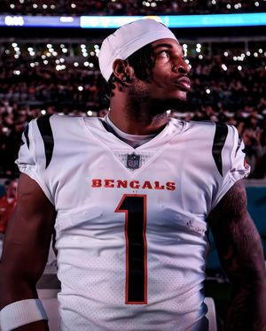 Image post by @bengals on Instagram