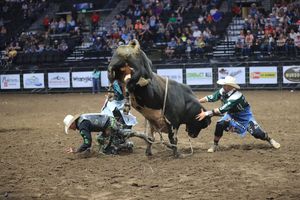 Image post by @larimercountyfair on Instagram