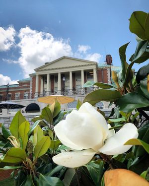 Image post by @wfuniversity on Instagram