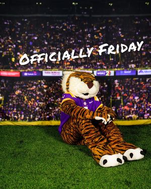 Image post by @lsumiketiger on Instagram