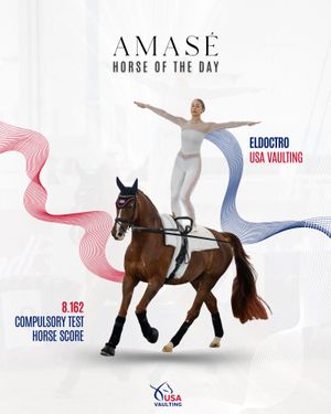 Image post by @usequestrian on Instagram