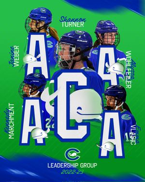 Image post by @CTWhaleHockey on Twitter