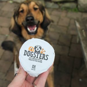 Image post by @dogstersicecream on Instagram