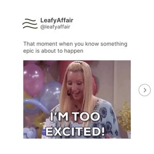Image post by @leafyaffair on Instagram