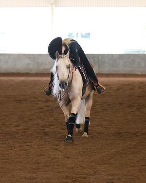 Image post by @aggieequestrian on Instagram