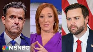 Video post by @msnbc on YouTube