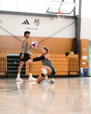 Image post by @uclamvb on Instagram