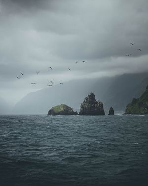 Image post by @kszczuka on Instagram