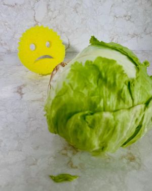 Image post by @scrubdaddy on Instagram