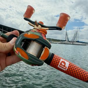 Image post by @profishiency on Instagram