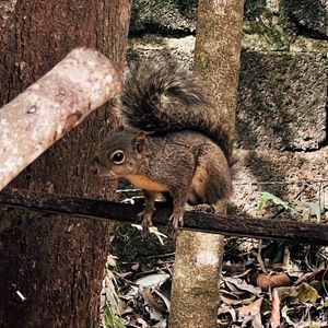 Image post by @rapho_ on Instagram