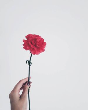 Image post by @kate.simple.life on Instagram