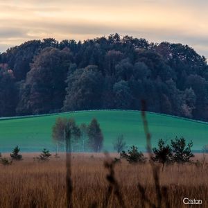 Image post by @cristan.nature.photography on Instagram