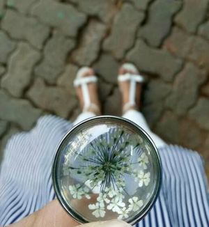 Image post by @leafyaffair on Instagram