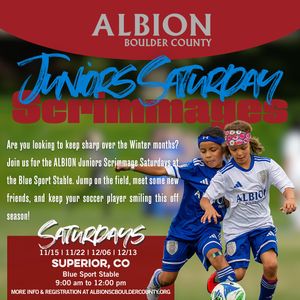 Image post by @bluesportstable on Instagram