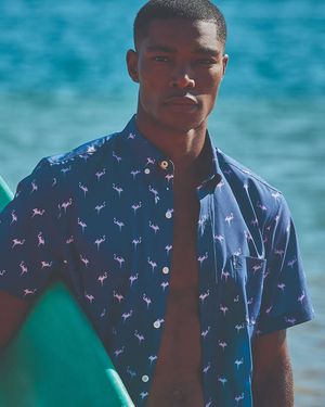 Image post by @izod on Instagram