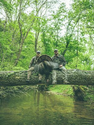 Image post by @muscadinebline on Instagram
