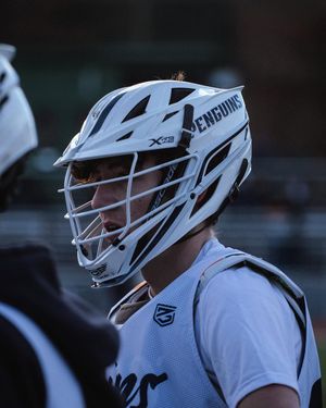 Image post by @penguinlax on Instagram