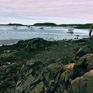 Image post by @themainemag on Instagram