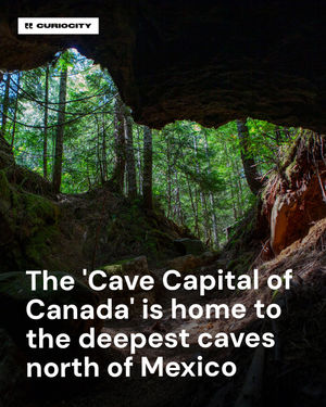 Image post by @curiocityvancouver on Instagram