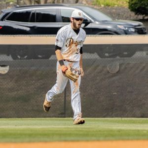 Image post by @gopetrelsbsb on Instagram