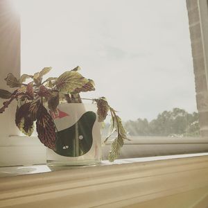 Image post by @lieandloft on Instagram